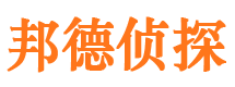 武江市私家侦探